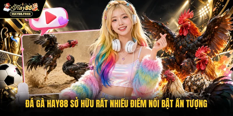 Đá Gà Hay88 sở hữu rất nhiều điểm nổi bật ấn tượng