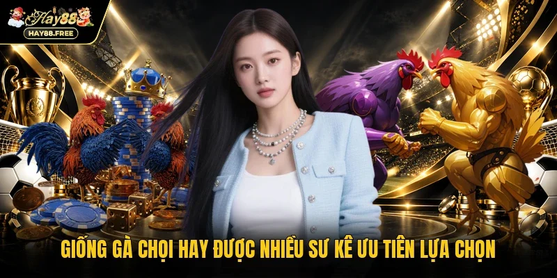 Giống gà chọi hay