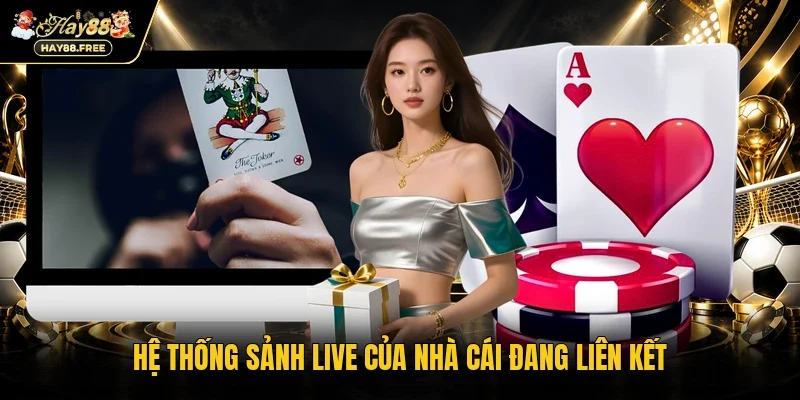 Hệ thống sảnh live của nhà cái đang liên kết