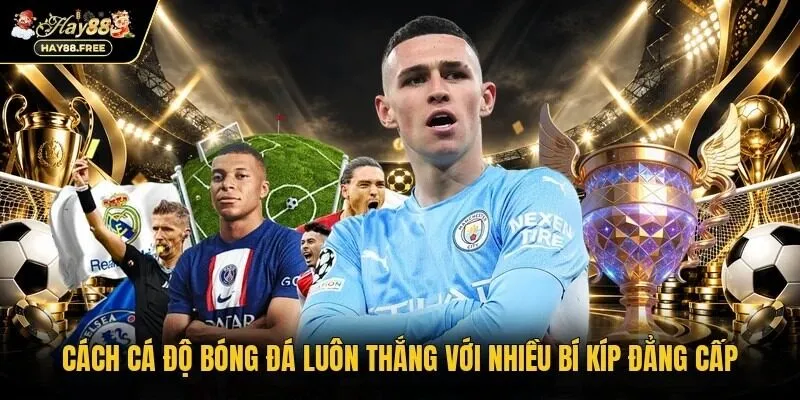 cách cá độ bóng đá luôn thắng