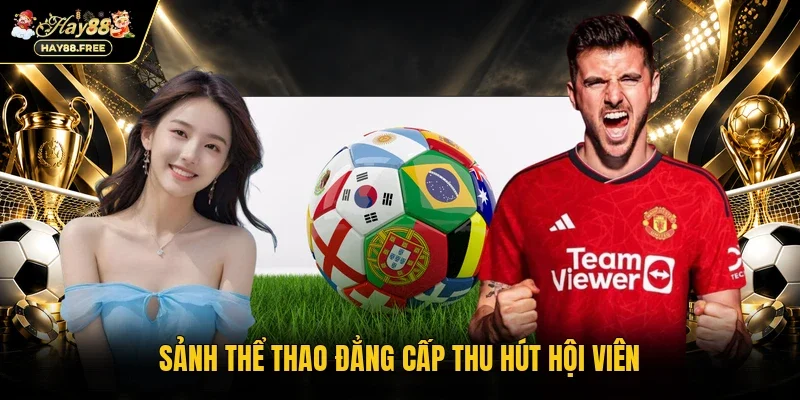 Sảnh thể thao đẳng cấp thu hút hội viên